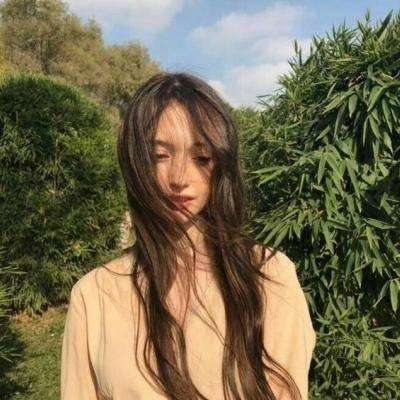 一流总裁满v版下载