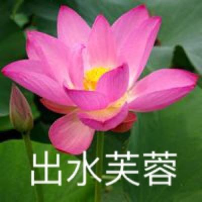 鬼斩英雄游戏下载