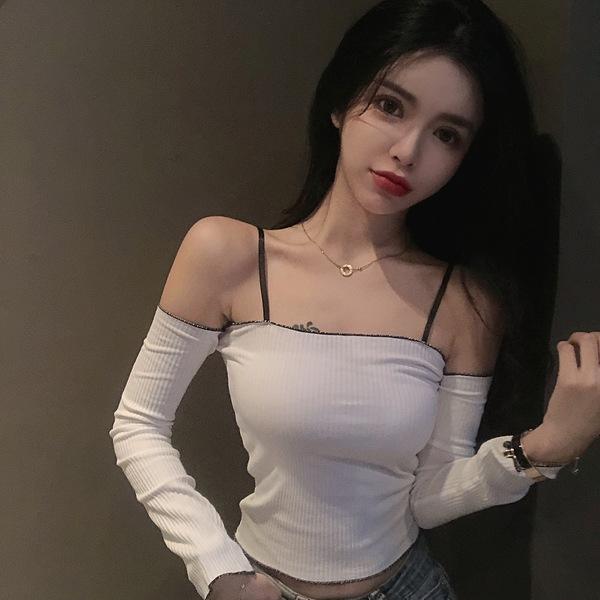 带上爱宠去冒险手游